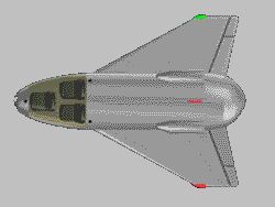 Top view of kitten (6.6 KB) 