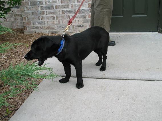 but she is actually full-grown!