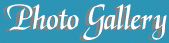 Photo Gallery