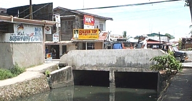 Bridge