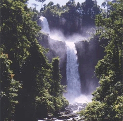 Falls