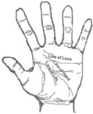 Palm
