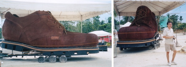 Shoe