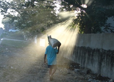Sun