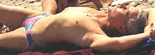 speedo-10a.jpg (43252 bytes)