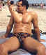 speedo-10j.jpg (91544 bytes)