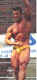 speedo-11i.jpg (66173 bytes)