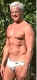 speedo-12j.jpg (34138 bytes)