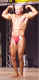 speedo-16q.jpg (34912 bytes)