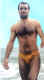 speedo-1r.jpg (32305 bytes)