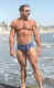 speedo-3e.jpg (31053 bytes)