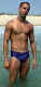 speedo-3o.jpg (9998 bytes)