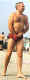 speedo-7p.jpg (31117 bytes)