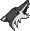 Coyotes