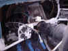trk-dash-rev2-3.jpg (80114 bytes)