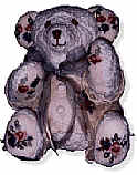 Bear Memories