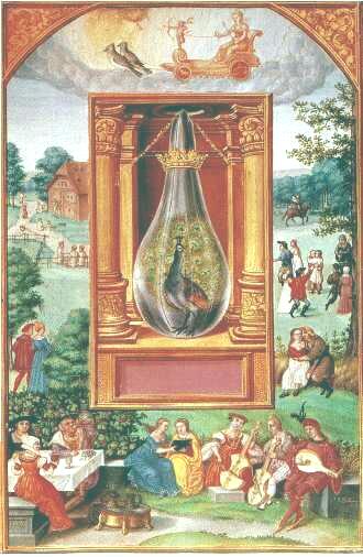 "The Peacock'sTail" from the "Splendor Solis"