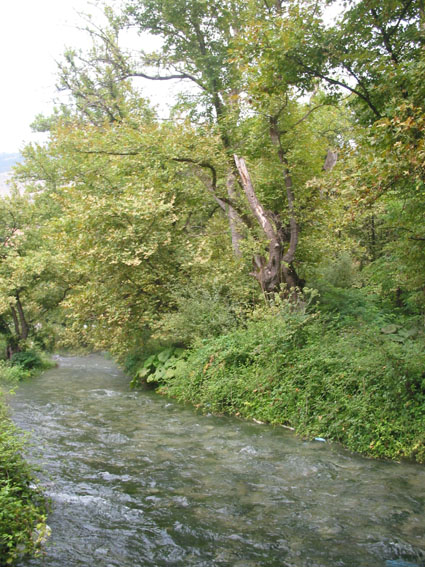 View of the river in spate