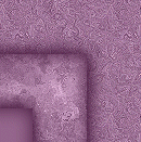 plumduff_top_right.gif (17094 bytes)