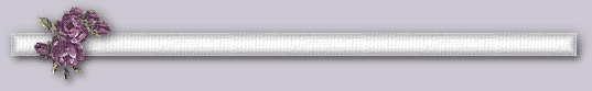 Formal Dove divider bar