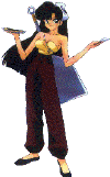 r17.gif (11507 bytes)