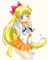 venus2.gif (11541 bytes)