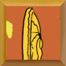 Paint1