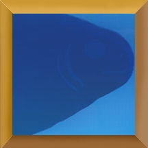 Paint1