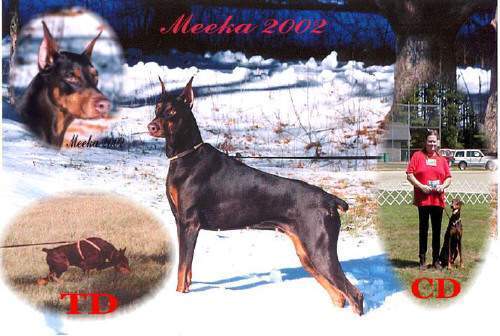 Meeka -TD/CD 2002-