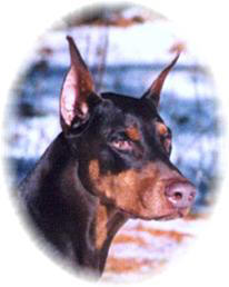 Meeka