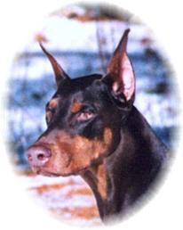 Meeka