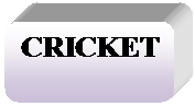 Rounded Rectangle: CRICKET

