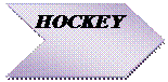 Chevron:  HOCKEY