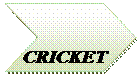 Chevron:  
CRICKET
