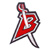 Buffalo Sabres 