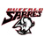 Buffalo Sabres 
