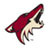 Phoenix Coyotes