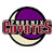 Phoenix Coyotes