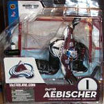 David Aebischer