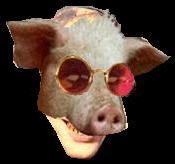Oink!