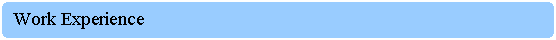 Rounded Rectangle: Work Experience 