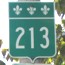 213