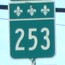 253