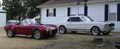 cobra and 65 mustang