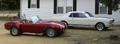 cobra and 65 mustang
