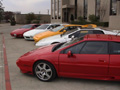 texaslotusclub