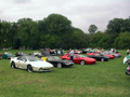 lotus row