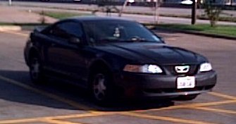 stang1.JPG - 13347 Bytes