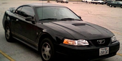 stang4.JPG - 24503 Bytes