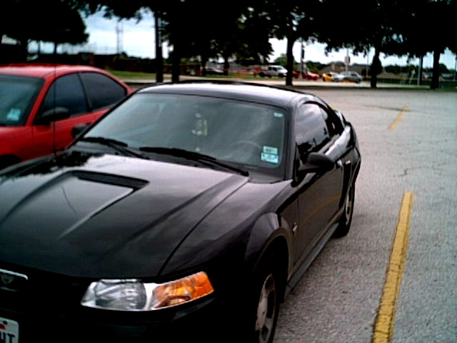 stang5.JPG - 67678 Bytes
